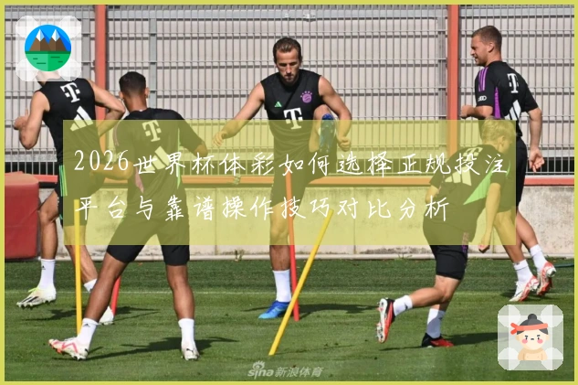 2026世界杯体彩如何选择正规投注平台与靠谱操作技巧对比分析