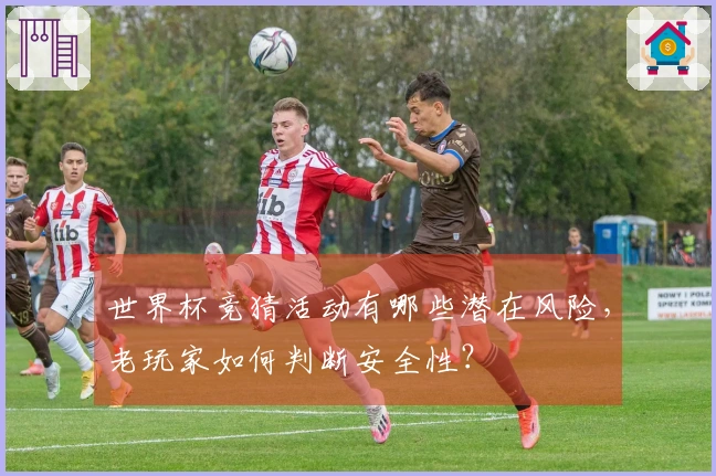 世界杯竞猜活动有哪些潜在风险，老玩家如何判断安全性？